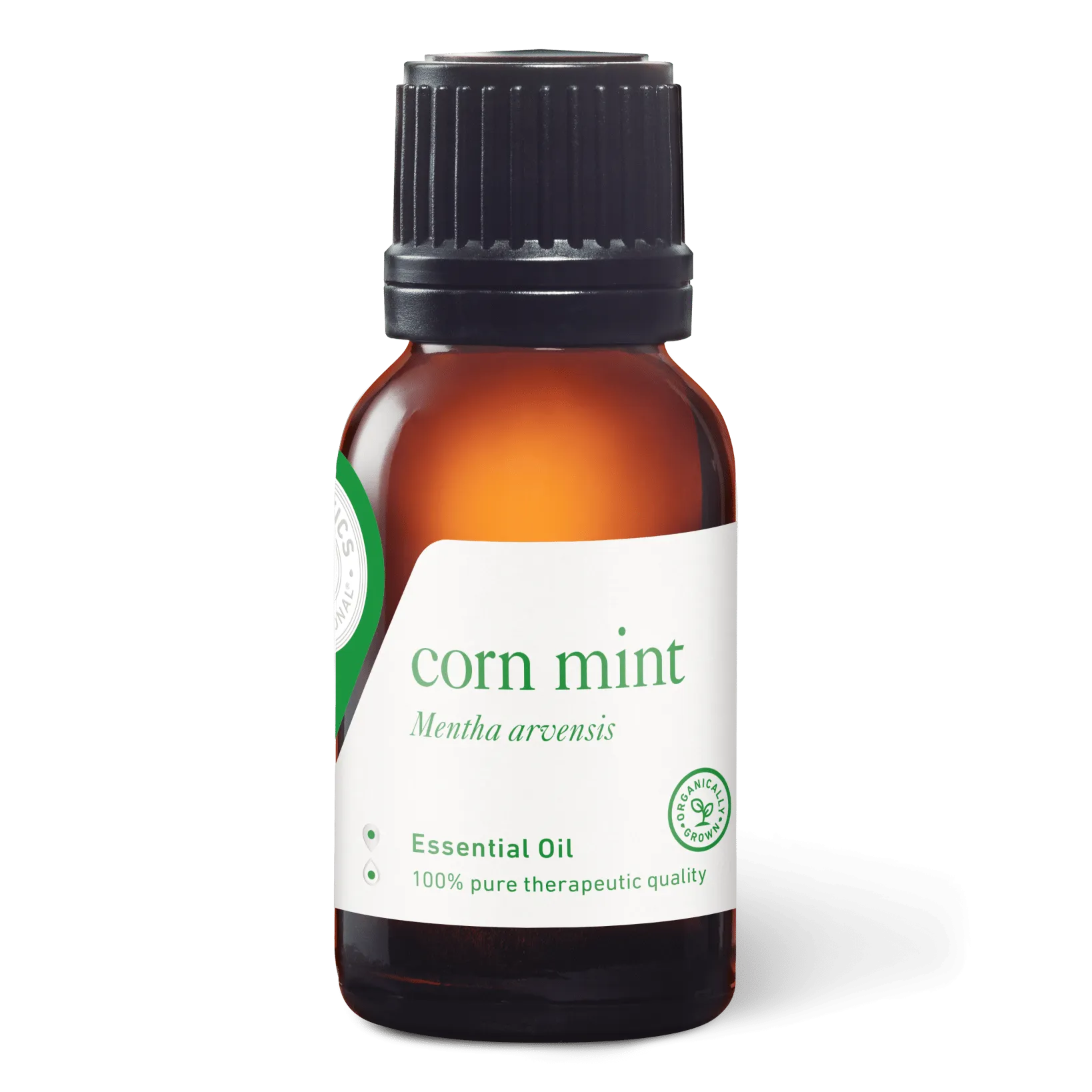 Corn Mint (Wild Mint) Essential Oil