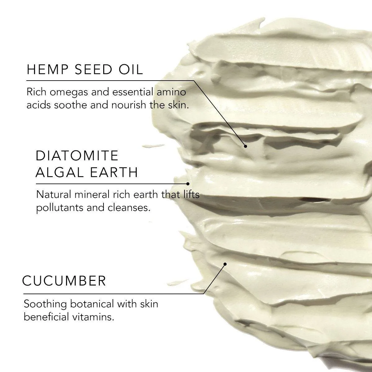 Hemp   Vitamin E Purifying Mask | 100% Vegan | Plant & Diatomite Earth Enriched