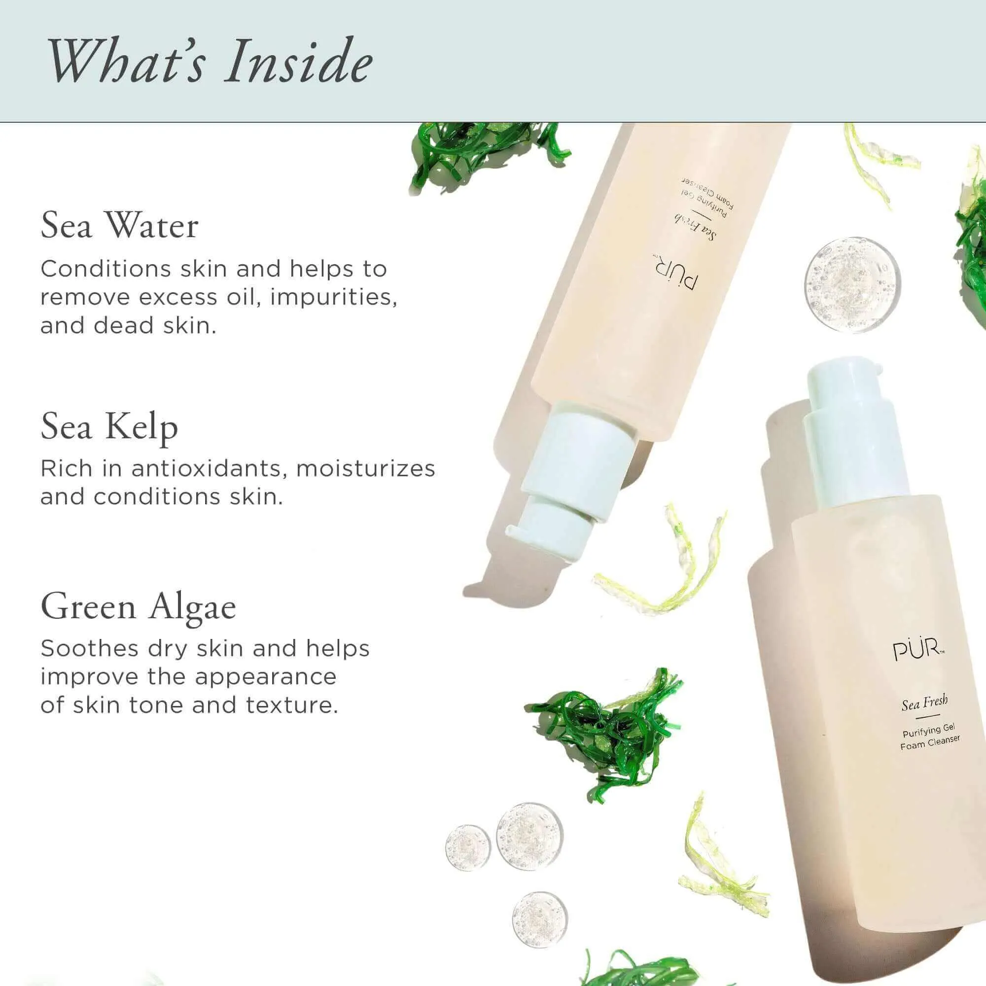 Sea Fresh Purifying Gel Foam Cleanser