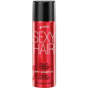 SexyHair Big Dry Shampoo